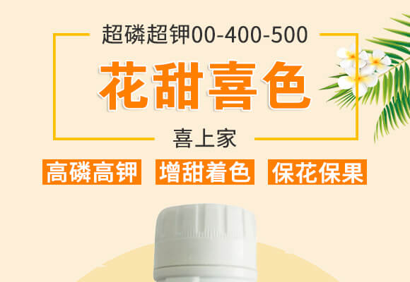 ���׳��00-400-500-����ϲɫ-ϲ�ϼ�_01