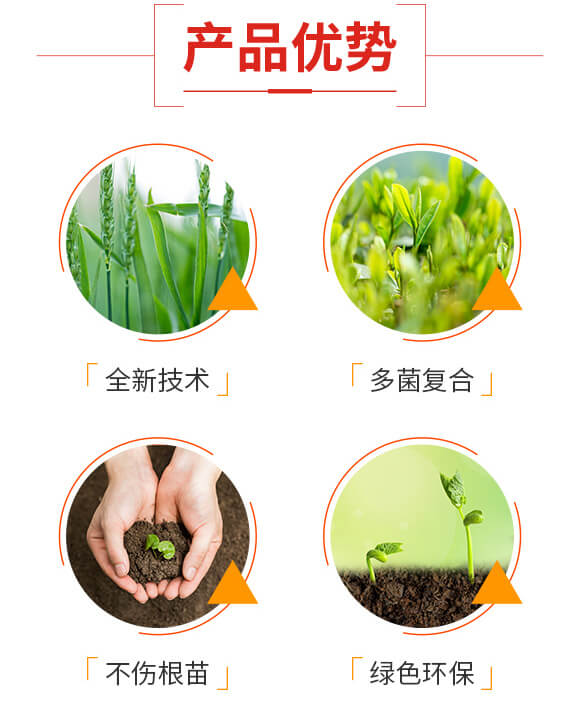 ���o(w��)��-��˹��_03