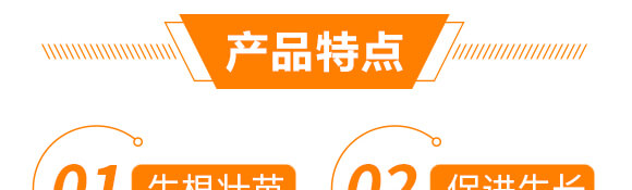 ���ь�(zhu��n)�üt�M��-������-���r(n��ng)���_05