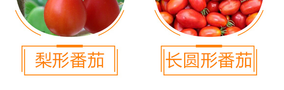 ���ь�(zhu��n)�üt�M��-������-���r(n��ng)���_10