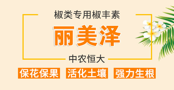 ����ý��S��-������-���r(n��ng)���_01