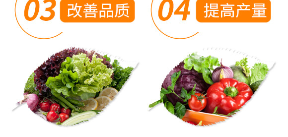 ���ь�(zhu��n)�üt�M��-������-���r(n��ng)���_07