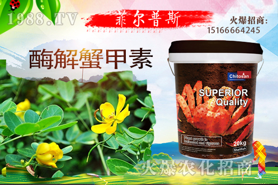 ������ô�Nֲ�������Nֲ���g(sh��)Ҫ�c(di��n)��