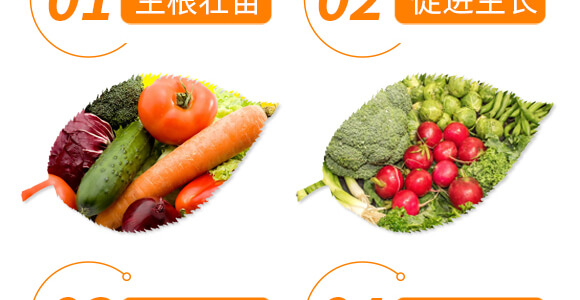 ���ь�(zhu��n)�üt�M��-������-���r(n��ng)���_06