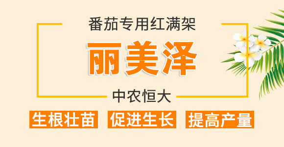 ���ь�(zhu��n)�üt�M��-������-���r(n��ng)���