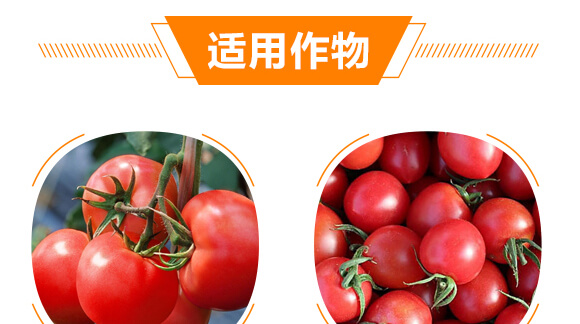 ���ь�(zhu��n)�üt�M��-������-���r(n��ng)���_08