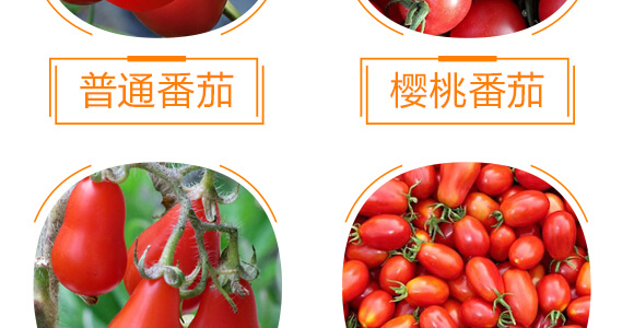 ���ь�(zhu��n)�üt�M��-������-���r(n��ng)���_09