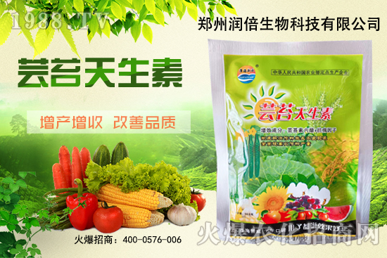 �S�B������ô�������S�B���ڲ��x(ch��ng)��������