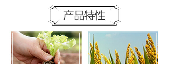 ����Ԫ��ˮ�ܷ���20-20-20+TE-�r(n��ng)��һ_05