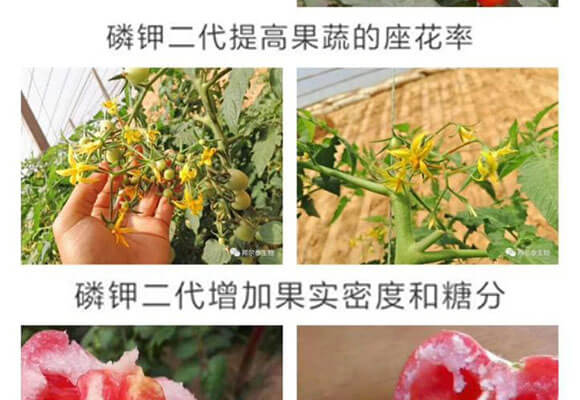 ��⛶���-һ����-�̩_08