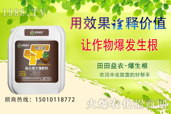 ���¿��ԷNֲ���߲�����Щ�����·N�߲˹���Ҫ�c��