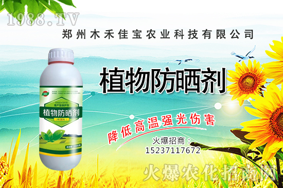 ѿ��˷Nֲǰ����ô����ѿ��˷Nֲ���g(sh��)����Щ��