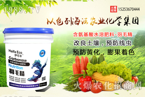 ���؃r(ji��)��