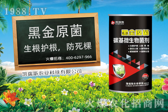     ����ʲô�r(sh��)����������׵��ի@�r(sh��)�������׵ĠI(y��ng)�B(y��ng)�r(ji��)ֵ��