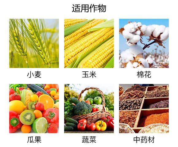 �VԴ�S�����-�W˹�D_05