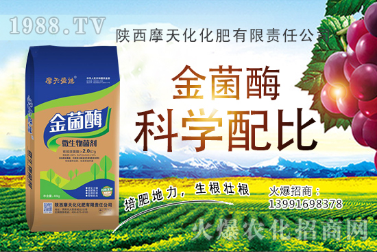 �Nһ���O(p��ng)���ĳɱ��Ƕ������ж�������(r��n)���O(p��ng)���Nֲ���g(sh��)�c������