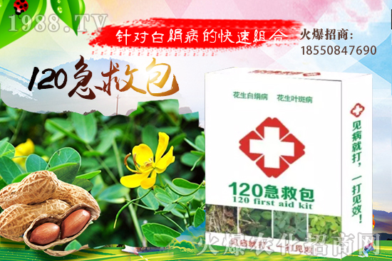 �ȹ����緽������Щ���ȹ���ô���Զ�ֲ��