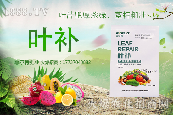 �o(w��)�����Nֲǰ����ô�����o(w��)�����Nֲ�r(sh��)�g�ͷ�����