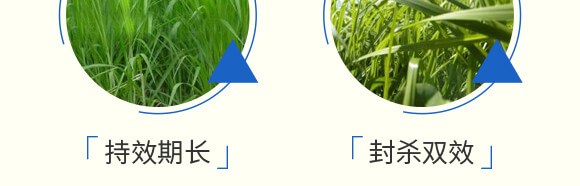 ���׳��݄��⚢�͡�����L_07