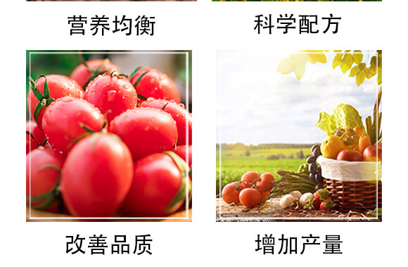 �����ЙC��-�S�r(n��ng)_05