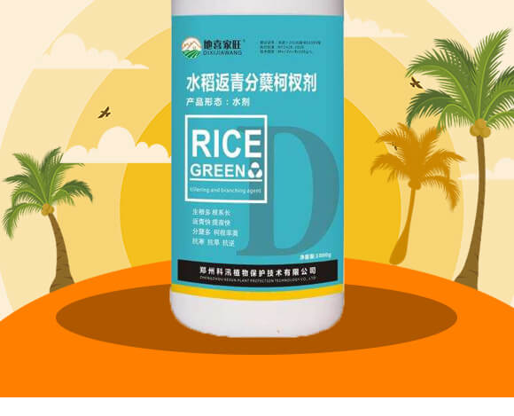 ˮ��������Y��辷�-��ϲ����-��Ѵ_02