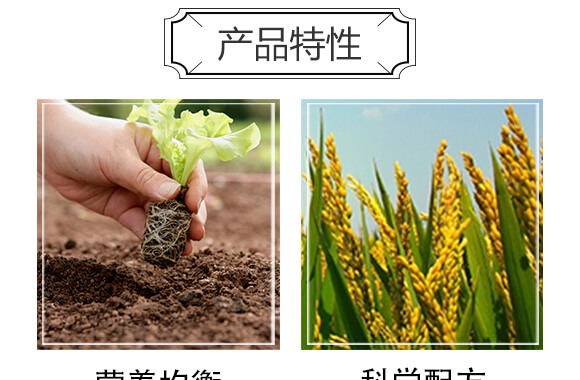 �����ЙC(j��)�ʣ��t��-�S�r(n��ng)_04