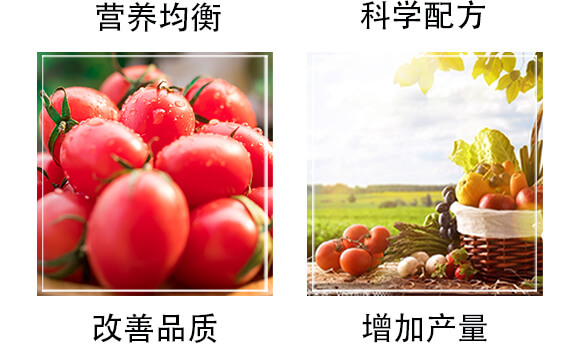 �����ЙC(j��)�ʣ��G��-�S�r(n��ng)_05