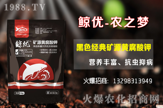 �����ķNֲ�ܶ���������Ʒ�N�x�񼰷Nֲ������