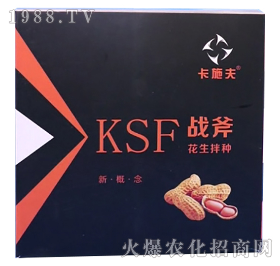 ������N����Щ��̎��������N��ʲô��N����