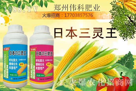 ���׿����״κ������׿����r�g�����׿����a(ch��n)Ʒ�x��