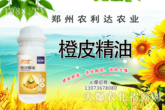 ��Ƥ�������˽��������Ƥ������ʲô��������ô�x��Ƥ���ͣ�