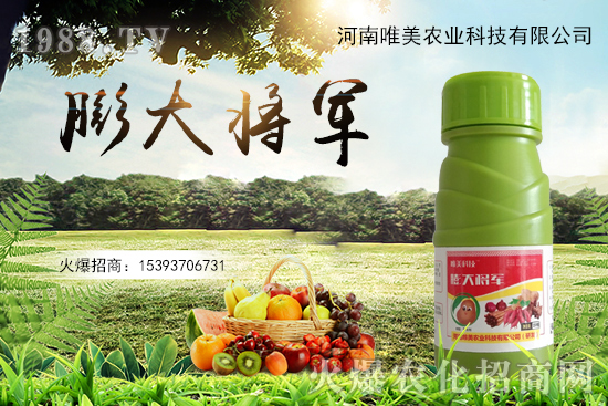 ����(sh��)�����������(sh��)С��ô��Q������(sh��)����ʵ��x������Щ��