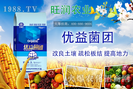 �����ЙC(j��)����ʲô���������ЙC(j��)�ʵă�(y��u)�����c�������ϵą^(q��)�e��