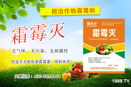 �S��˪ù����(y��n)����ô�k�����������S��˪ù����