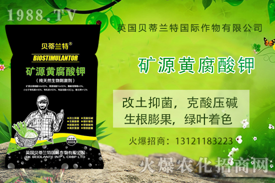 ���ÿ���ô�B(y��ng)�����ÿ��B(y��ng)ֳ������ע�����(xi��ng)��