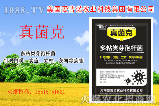 ����(gu��)�����Z��ʲô��(y��u)��(sh��)������(gu��)�����Z�a(ch��n)Ʒ����Щ��