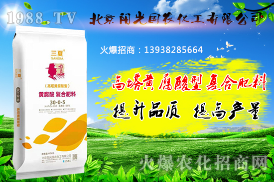 �����S�����͏ͺϷ�����ʲô���c�������S�����͏ͺϷ����m��ʲô������