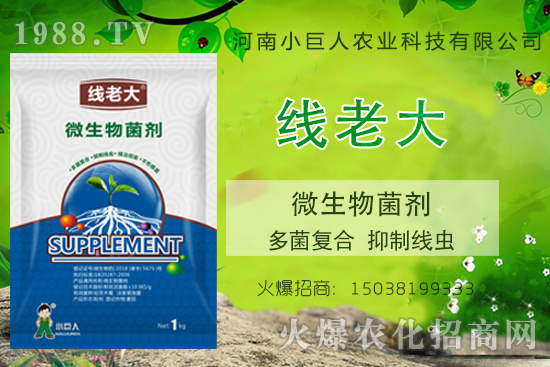 ���Y(ji��)���x(ch��ng)զ���Σ����Y(ji��)���x(ch��ng)����-�����ϴ󡱶����(f��)�������ƾ��x(ch��ng)��