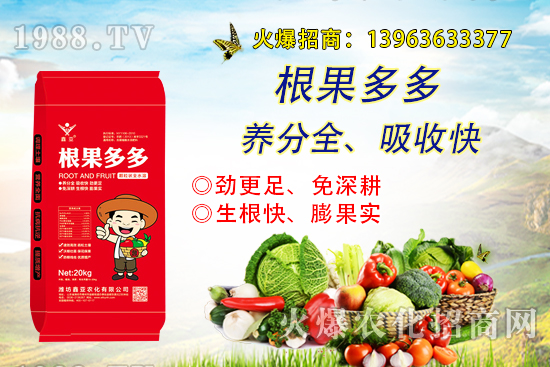 �����������������ô�k����������ࡱ����̽������(sh��)����������B��