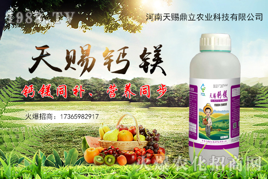 ���n������ʲô��(y��u)�������n�������Ʈa(ch��n)Ʒ����Щ��