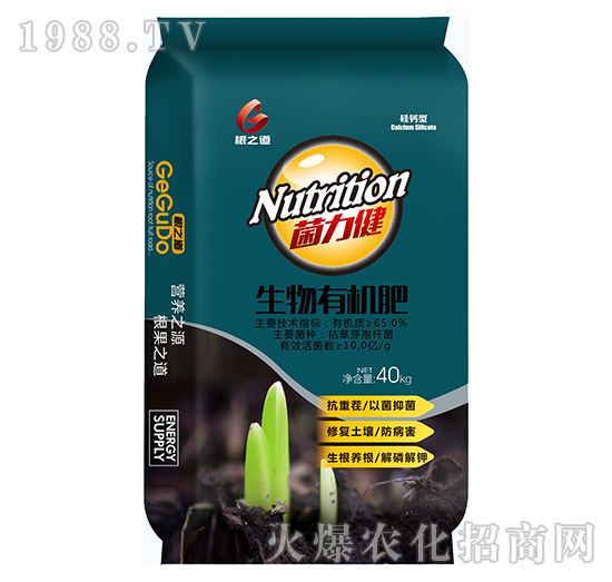 Ҫ�����������ϵ����Ҫ���۹��֮����ô��������Щ����a(ch��n)Ʒ��