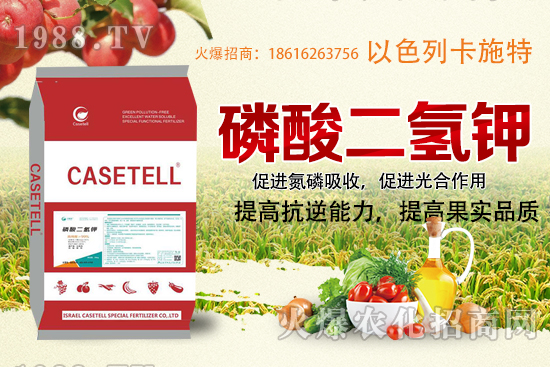  ����������ʲô�����������������ü�ʹ�÷�����