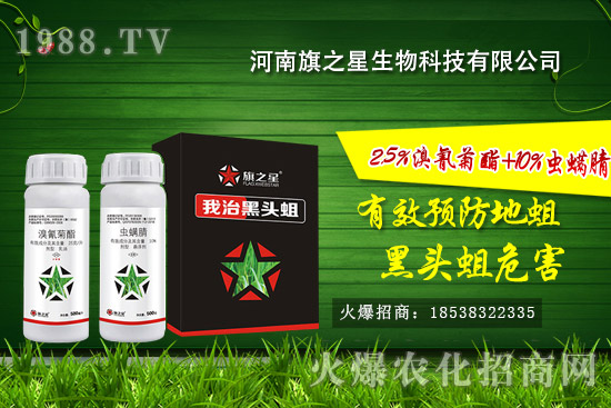 ������֮����ô����������֮�ǚ����a(ch��n)Ʒ����Щ��