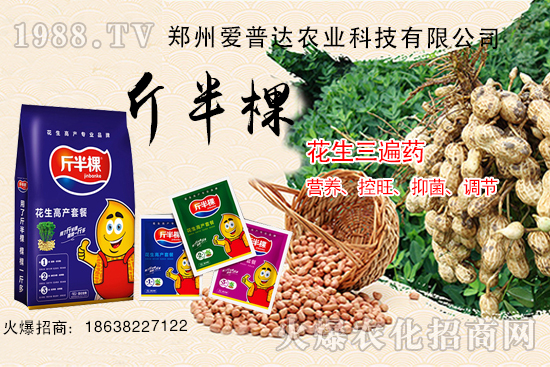 ��������ˎʲô�r(sh��)��ʹ������������ˎ����Щ������