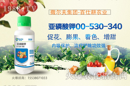 �I�B(y��ng)�������A(y��)�������������������@ôţ���������������ԭ����