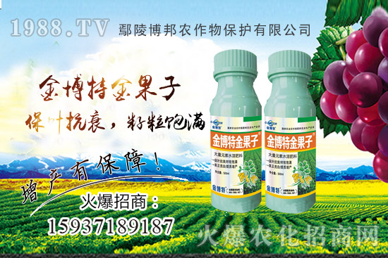 ������˥�p�a(ch��n)��(y��n)��ԓզ�k��������˥ԭ�򣬷Nֲ����α�����