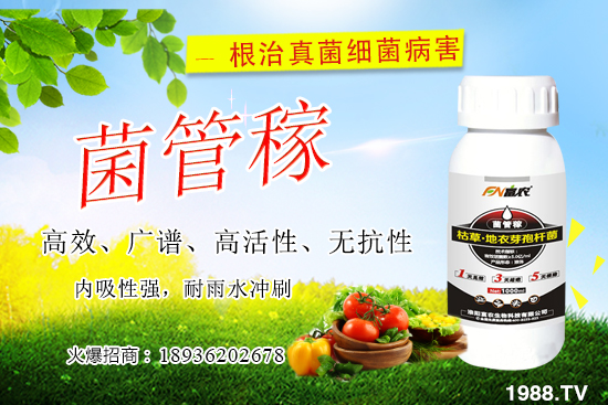 ���䝢��Σ����ʲô�����䝢�������Ά�������ˎ������Щ��