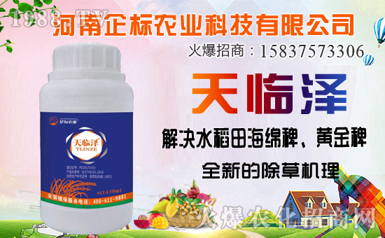 ���ݰ����ݙC�������ݰ��ܷ�����Щ����ʹ��ע���������Щ��