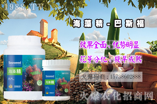  ߀���˽⺣�徫��ɶ����������out�������徫�����ж����