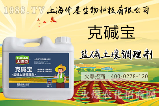 �����}�AΣ���������ˉA���������}�A��߀��һƬ������